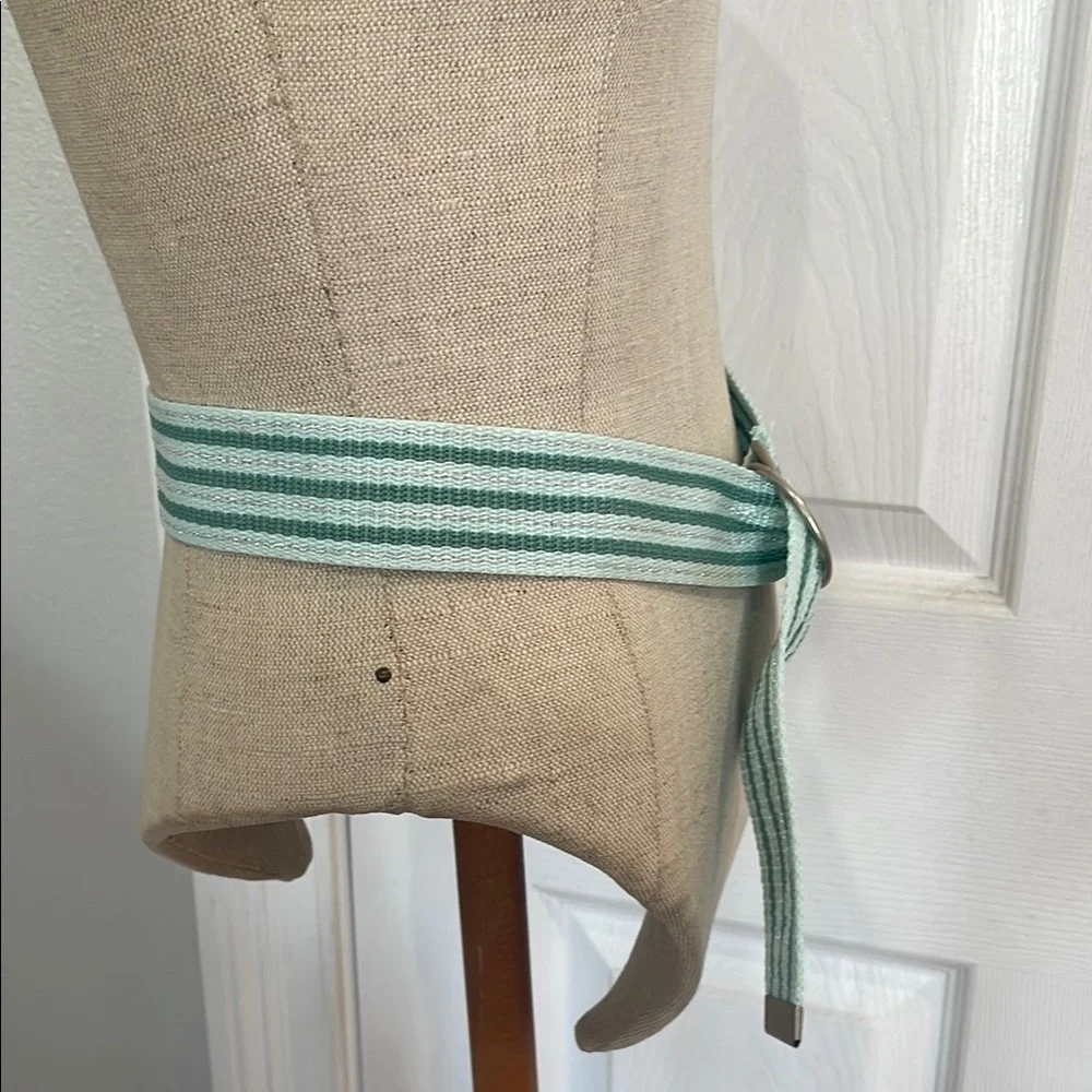Y2K American Eagle Striped green metallic adjustable Belt Silver D ring Buckle